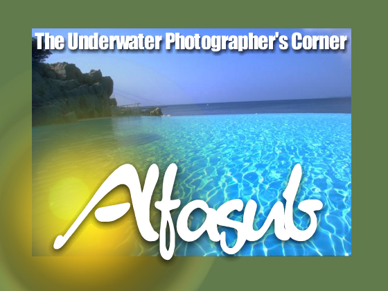 The underwater photographer's corner